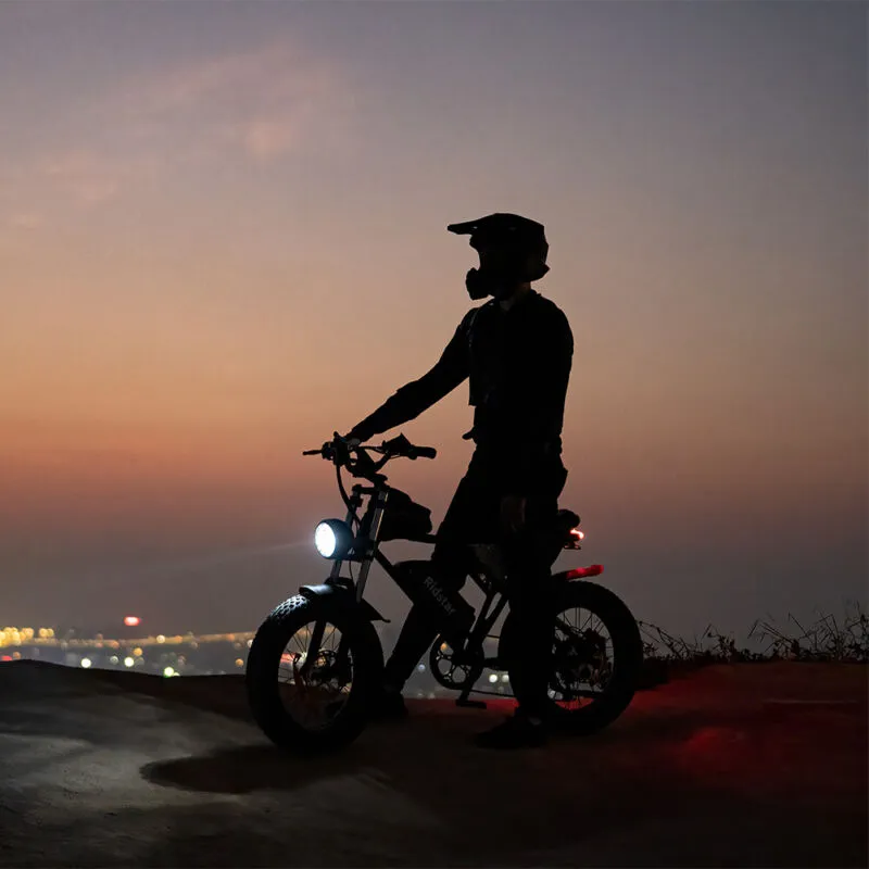 Electric Bike 1000W/2000W Fat Tire 20" Mountain E-Bike 13Ah/20Ah/40Ah