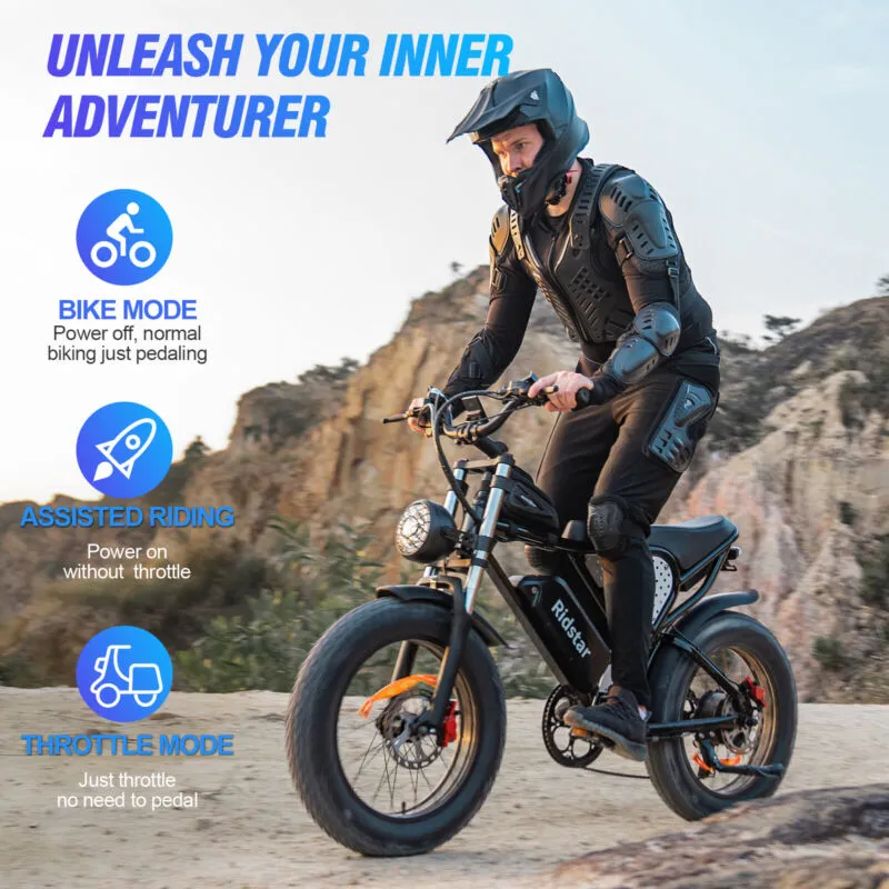 Electric Bike 1000W/2000W Fat Tire 20" Mountain E-Bike 13Ah/20Ah/40Ah