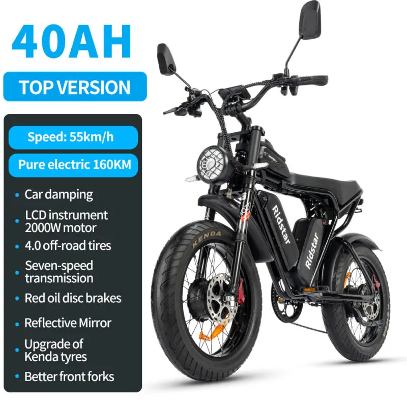 Electric Bike 1000W/2000W Fat Tire 20" Mountain E-Bike 13Ah/20Ah/40Ah