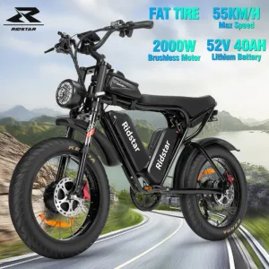Electric Bike 1000W/2000W Fat Tire 20" Mountain E-Bike 13Ah/20Ah/40Ah