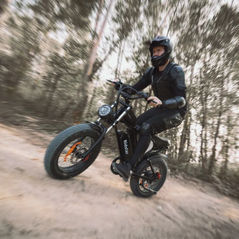 Electric Bike 1000W/2000W Fat Tire 20" Mountain E-Bike 13Ah/20Ah/40Ah