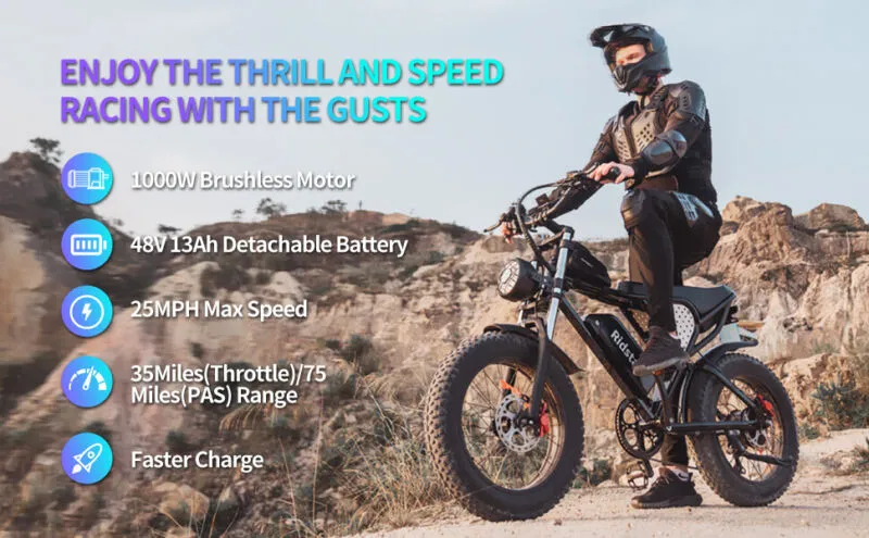 Electric Bike 1000W/2000W Fat Tire 20" Mountain E-Bike 13Ah/20Ah/40Ah
