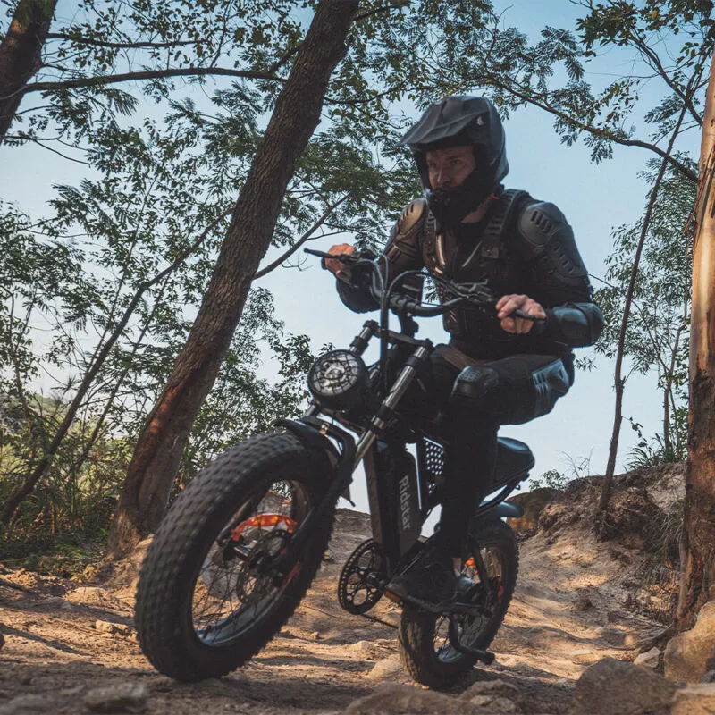 Electric Bike 1000W/2000W Fat Tire 20" Mountain E-Bike 13Ah/20Ah/40Ah