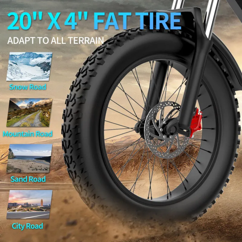 Electric Bike 1000W/2000W Fat Tire 20" Mountain E-Bike 13Ah/20Ah/40Ah